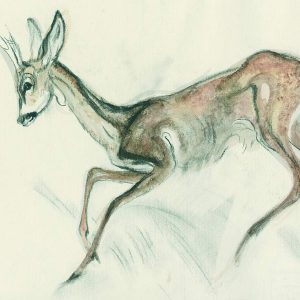 Ludwig Heinrich Jungnickel, Deer 3