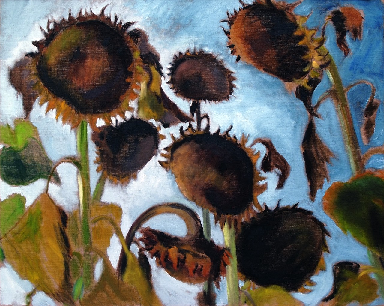 Harald Scheicher, Ripe Sunflowers, 2000