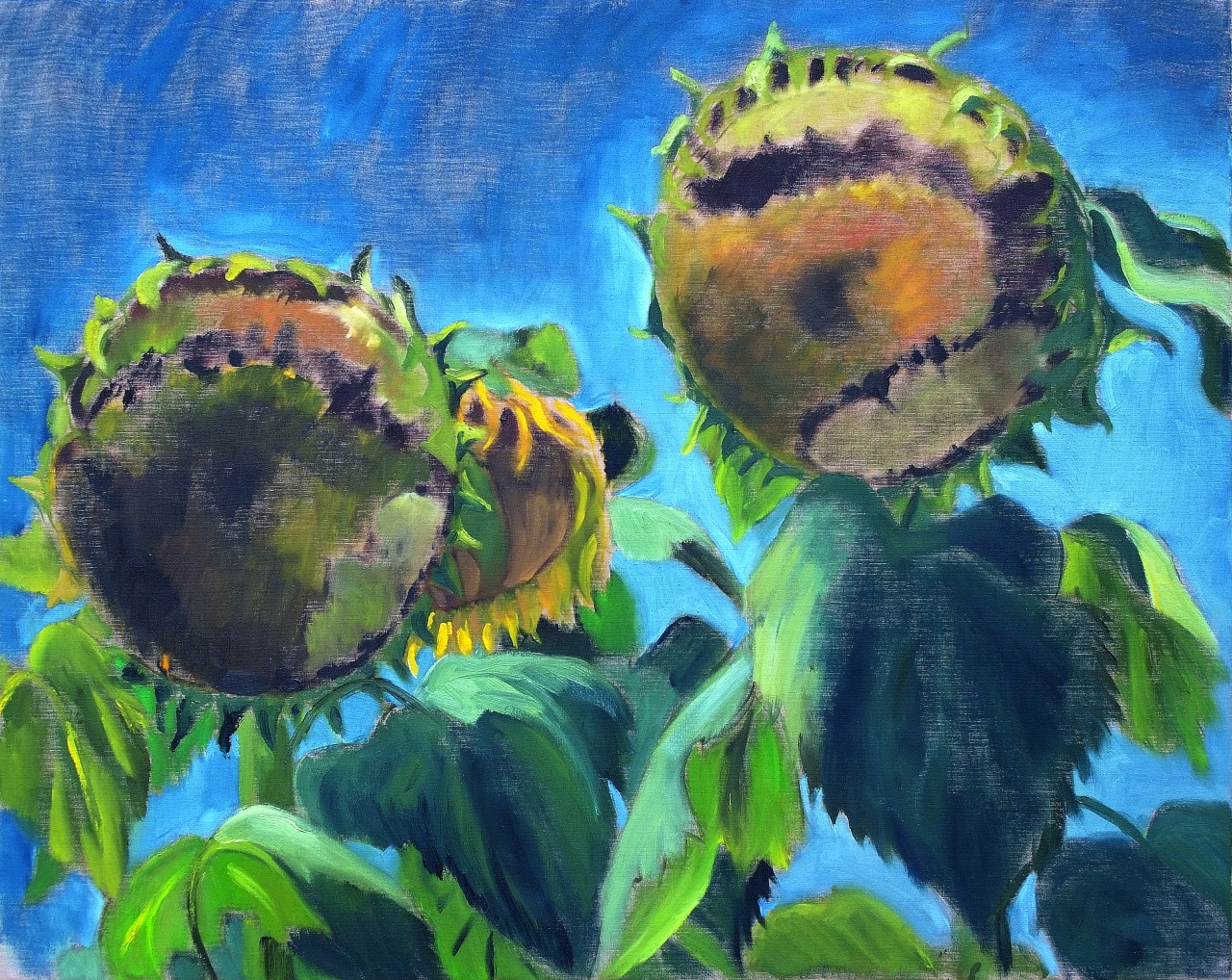 Harals Sheikhs, Sunflowers, 1998